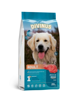 Divinus Adult dla psów dorosłych 20kg