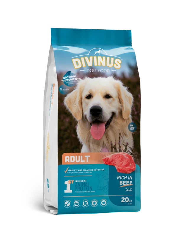 Divinus Adult dla psów dorosłych 20kg