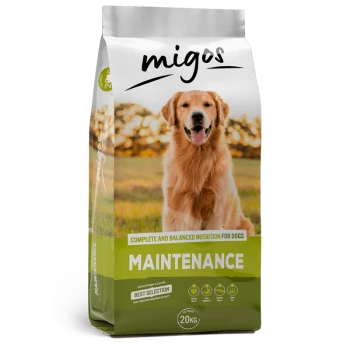 Migos Maintenance 20kg