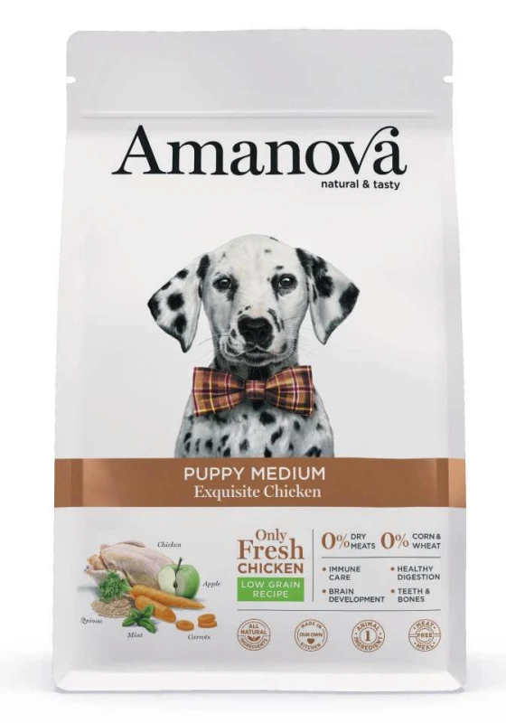 02_packshot_original.png