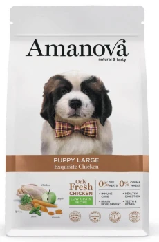 Amanova Puppy Large Exquisite Chicken sucha karma dla psa kurczak 12 kg