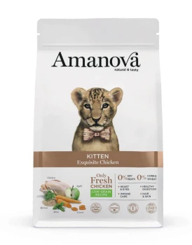 Amanova Kitten Exquisite Chicken sucha karma dla kota kurczak 4 kg
