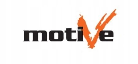 Miotła drewniana Motive/Inter-s beżowa